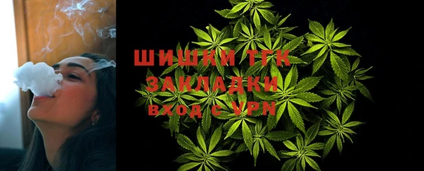 ГАЛЛЮЦИНОГЕННЫЕ ГРИБЫ Козельск