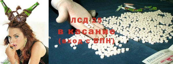 ГАЛЛЮЦИНОГЕННЫЕ ГРИБЫ Козельск