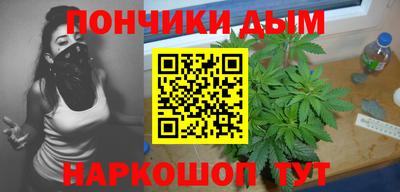 mdpv Краснознаменск